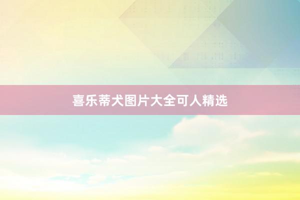 喜乐蒂犬图片大全可人精选