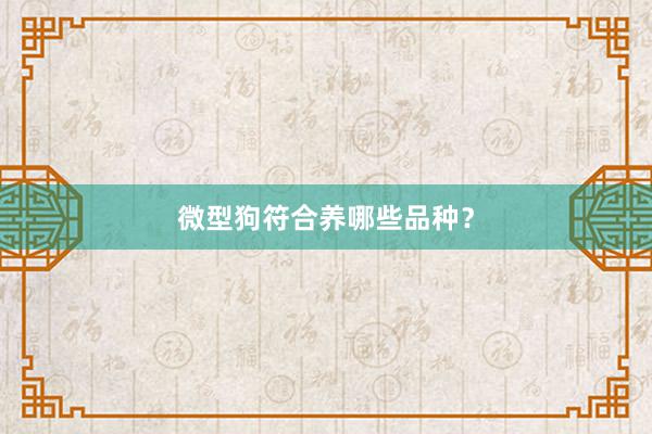 微型狗符合养哪些品种？